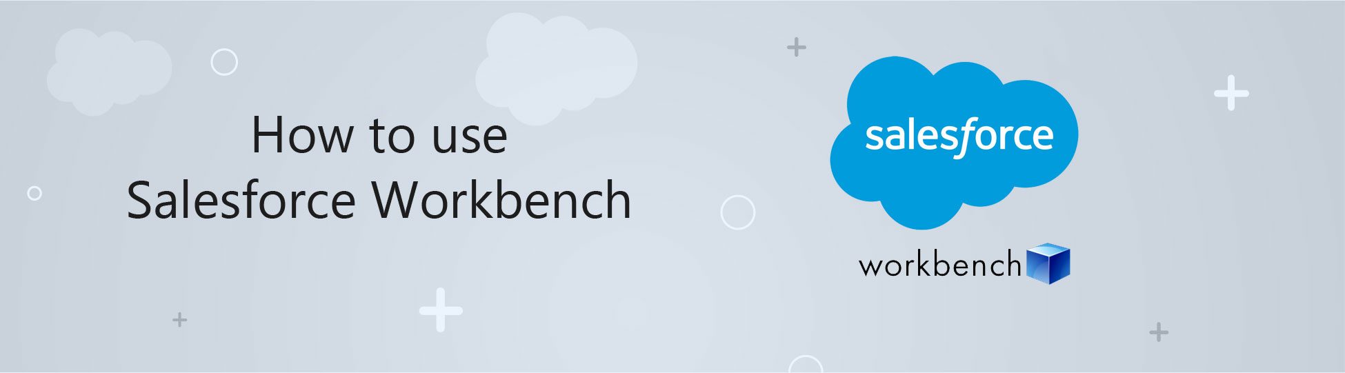 Salesforce-Workbench