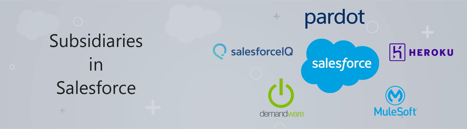 Subsidiaries-in-Salesforce