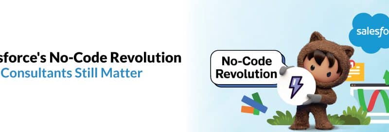 Salesforces-No-Code-Revolution-Why-Consultants-Still-Matter-800x273